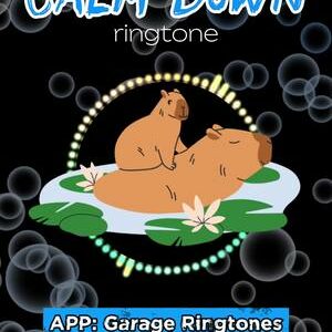 Calm and relax ringtone that feels like coffee on a Sunday morning ☕️📱 Found on Garage Ringtones 👇