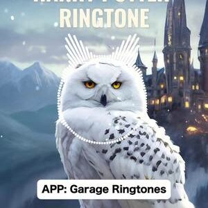 Harry Potter ringtone 🦉❄️ #harrypotter #potter #ringtone