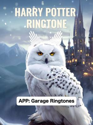 Harry Potter ringtone 🦉❄️ #harrypotter #potter #ringtone