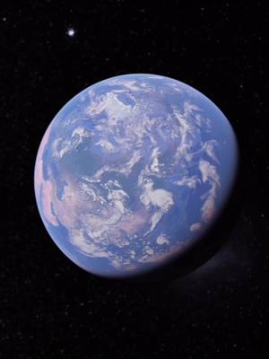 You know what to choose 🤫✨ #iphone #fyp #viralsoung #cat