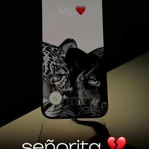 señorita 💔 #señorita #mexican #fyp #goviral